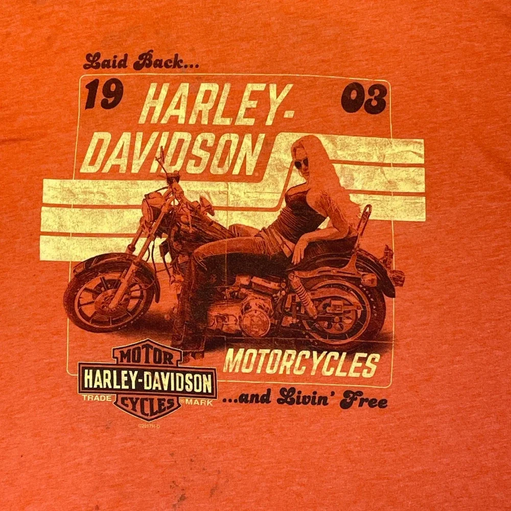 Harley Davidson 2003 Laid Back Graphic Tee Orange XXL - Picture 2 of 11
